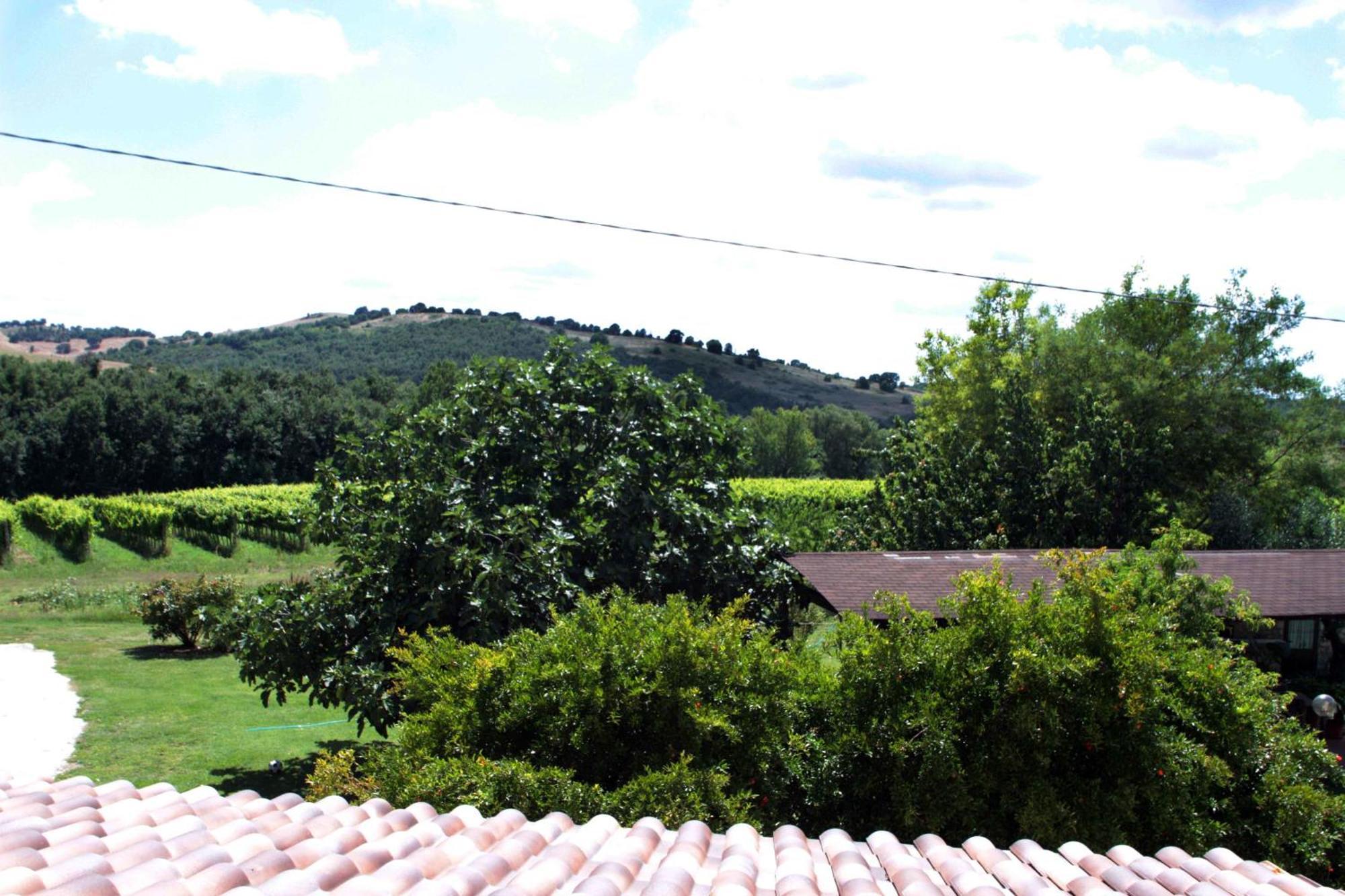Agriturismo La Vecchia Quercia Монтемерано Экстерьер фото
